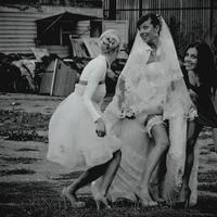 Shafran - весільний фотограф