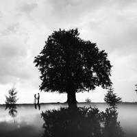 Фотограф Львів, Карпати
