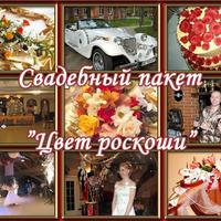 Тамада на весілля