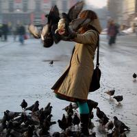 PHOTOZOOM.COM.UA