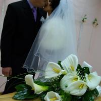 Олександр Різник