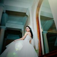 WedPhoto: Свадебное фото