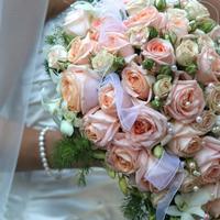 Wedding Cinema