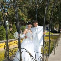 Фотоцентр "Новый Цвет"