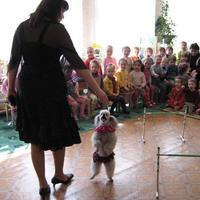 Клоун-фокусник и жонглёр, голуби, собачки