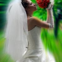 My Flowers