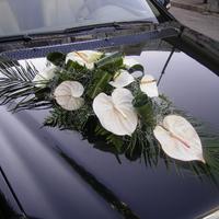 My Flowers