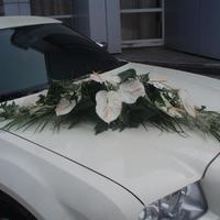 My Flowers