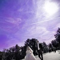 Chernov Photography