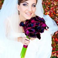 Zoomi