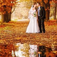 Ariena Photography