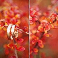 Ariena Photography