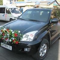 Дизайн студия Floretti г. Донецк