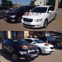 Весільний кортеж Skoda Superb
