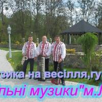 Гурт "Весільні музики"