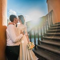 Art Shevchuk