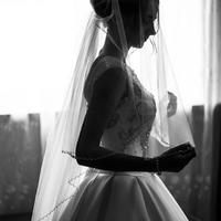 Art Shevchuk