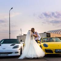 Art Shevchuk