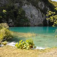 Уляна Босак