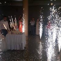 Max Effect Show