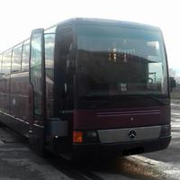 Автобус на весілля