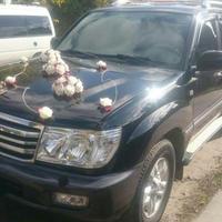 Toyota Land Cruiser 100