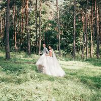 Світлана Штипуляк