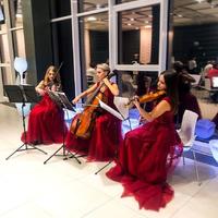 Kohana Trio