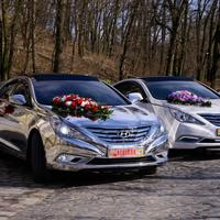 ЕКСКЛЮЗИВНЕ ДЗЕРКАЛЬНЕ Авто Весілля SONA