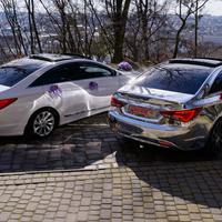 ЕКСКЛЮЗИВНЕ ДЗЕРКАЛЬНЕ Авто Весілля SONA