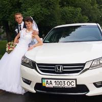 Свадебный фотограф