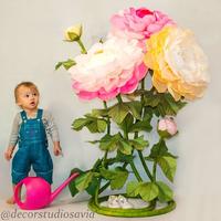 Decor studio SAVIA