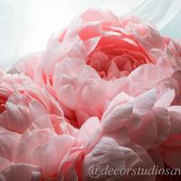 Decor studio SAVIA