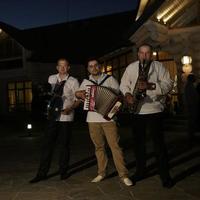 BAND  VOVA_&_COMPANY