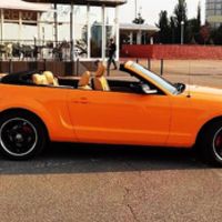 159 Кабриолет Ford Mustang GT оранжевый