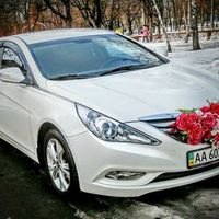 166 Hyundai Sonata біла NEW оренда авто