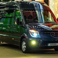 295 Микроавтобус Mercedes Sprinter черн