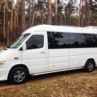 317 Микроавтобус Mercedes Sprinter