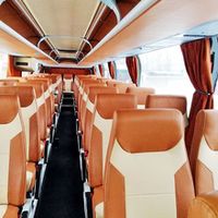 331 Автобус Neoplan 116 белый прокат