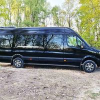 315 Микроавтобус Mercedes Sprinter