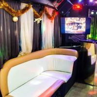 064 Автобус Party Bus Golden Prime паті
