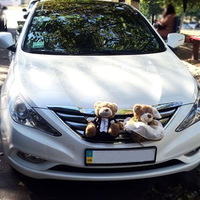 165 Hyundai Sonata белая 2013 аренда