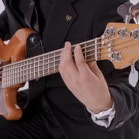 MONACO Band