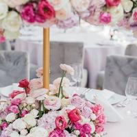 Весілля "Під ключ" «Wedding-Оvatio!»