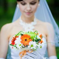 Danelly Photography