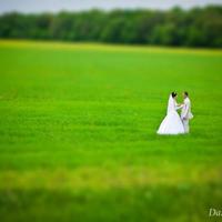 Danelly Photography
