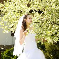 Dream Photo Studio