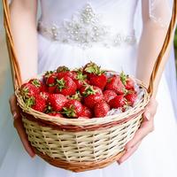 Dream Photo Studio