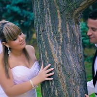 Film-Video