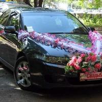 HONDA  ACCORD